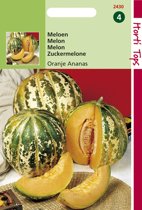 Meloen Oranje Ananas (Cucumis melo) 30 zaden HT